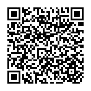 QR Code for Integrated Rural Development Programme- A Revolutionary Approach