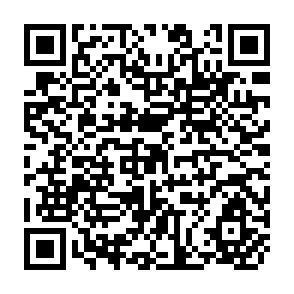 QR Code for Economics,Peace & Laughter