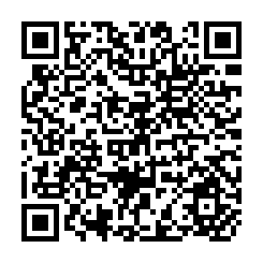 QR Code for Small is Beautiful