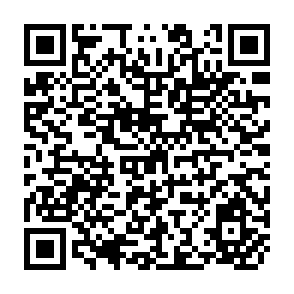 QR Code for Small is Beautiful