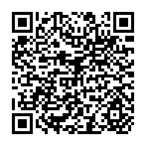 QR Code for The Rural Elite in a Developing Society