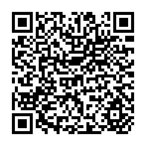 QR Code for Studies in the Economics of Agricultural Development