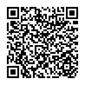 QR Code for The Practice of Local-level Planning