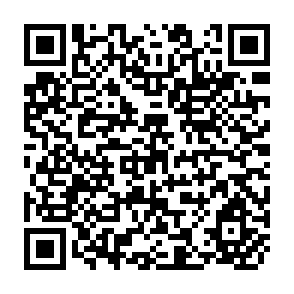 QR Code for The  Mass Strikes, The Political Party  and The Trade Unions