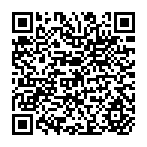 QR Code for The Economic Development of The Third World Since 1990