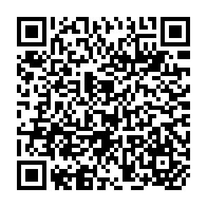 QR Code for The Latin American Peasant