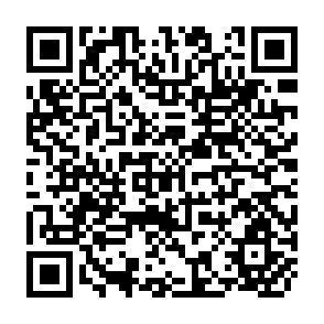 QR Code for Fontamara