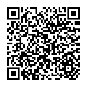 QR Code for Anthropologist in the field