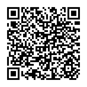 QR Code for Land and Peasants in Central Luzan