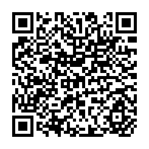 QR Code for American Capitalism