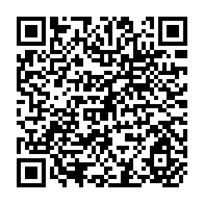 QR Code for Development, Income Distribution And Social Change in Rural Egypt (1952-1970) The Study in the Political Economy of Agrarian Transition