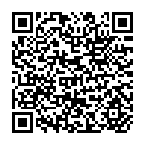 QR Code for Agricultural Credit and Rural Savings: II