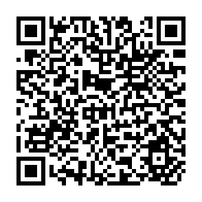 QR Code for Growth and instability in Indian agriculture