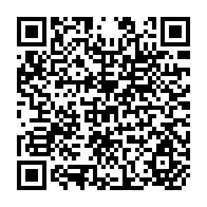 QR Code for Property and Economic Power as Issues in Institutional Economics