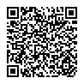 QR Code for Agricultural Market Analysis