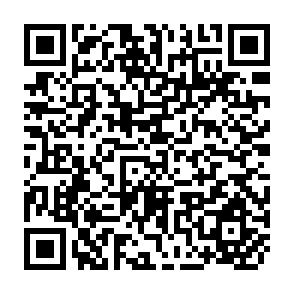 QR Code for An Economic Analysis of Large-Scale Land Development For Agriculture and Forestry