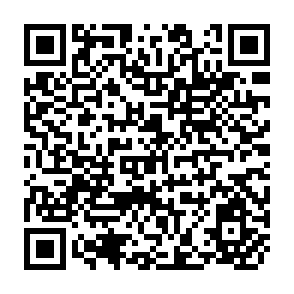 QR Code for Introduction of Tractors in a Subsistence Farm Economy