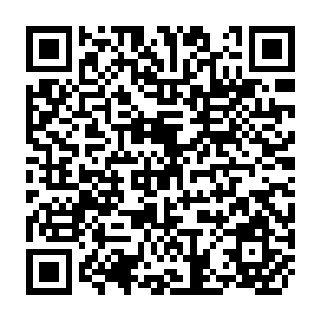 QR Code for Surveys of Migration in Developing Countries:A methodological Review