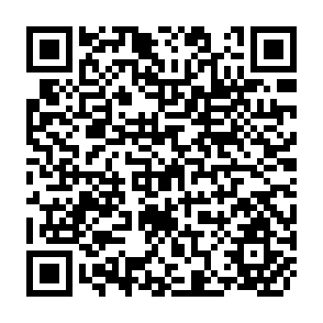 QR Code for The Introduction of Risk into a Programming Model: Different Criteria and the Actual Behaviour of Farmers