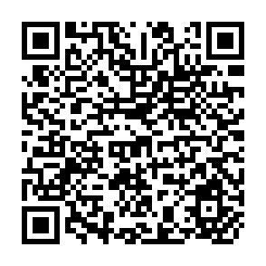 QR Code for Man and Land