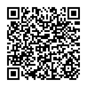 QR Code for Development Co-operation