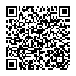 QR Code for Handbook of Evalution Research