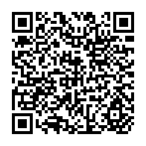 QR Code for The Vanishing Peasant