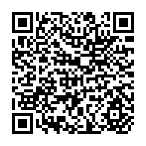 QR Code for Money: Whence It Came, Where It Went