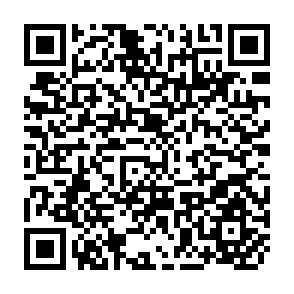 QR Code for Is Stabilization Policy Possible? Time-Lags and Conflicts of Goals