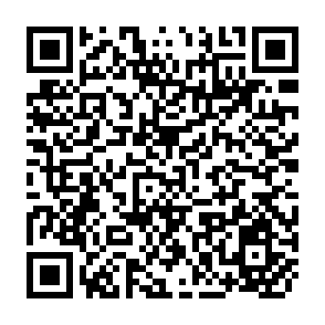 QR Code for The Tax on Wage Increases