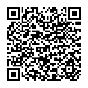 QR Code for Production and Investment Under Costs of Adjustment A Survey