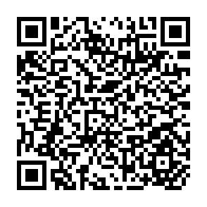 QR Code for International Factor Mobility and The Dual Economy