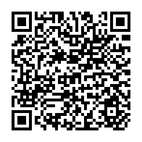 QR Code for The National State in an Internationalized World Economy