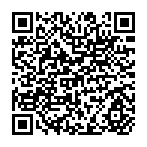 QR Code for Domestic Inflation and Exchange Rate Changes: The Ldc;s Case