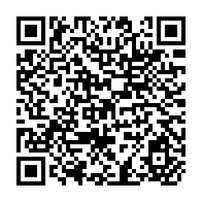 QR Code for Appraising Import of Capital Goods to Developing Countries