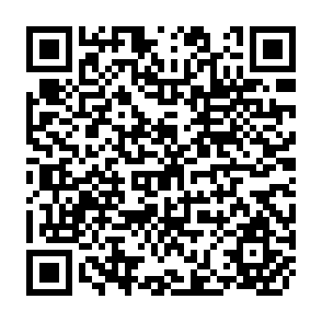 QR Code for Wool: Situation and Outlook