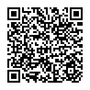 QR Code for Changes in Agriculture and Settlement in Coastal Chiapas,Southern Mexico
