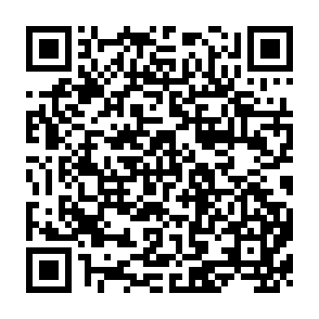 QR Code for Land reform&participation of the rural poor in the development process of african countries