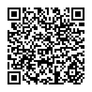 QR Code for Crop Diseases Calendar