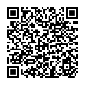 QR Code for Guatemala Farm Policy Analysis: The Impact of Small - Farm Credit on Income, Employment and Food Production