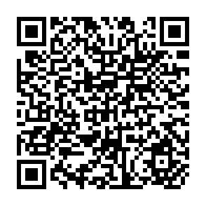 QR Code for The Employment Problem in Less Developed Countries