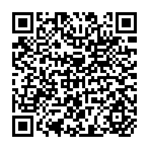QR Code for Wage Policy & Income Distribution in Developing Countries