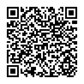 QR Code for Conceptual Limits Of Development Communications Theory
