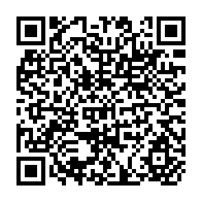 QR Code for The country report on training facilities for personal of credit co-operatives & agricultural bank in Bangaladesh