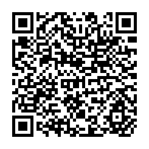 QR Code for The russian peasant movement 1906-1917