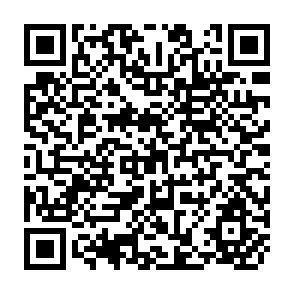 QR Code for Title Problems in Rural Areas of Colonization Example