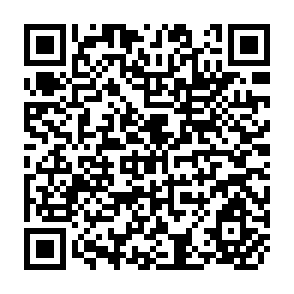 QR Code for Industrial Survey of The Philippines