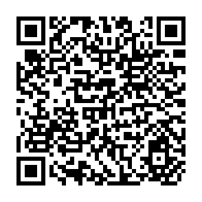 QR Code for Manual Of Industrial Project Analysis in Developing Countries