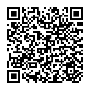 QR Code for The Economics of Underdeveloped Countries
