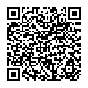 QR Code for Emerging Theoretical Models in Social and Political History